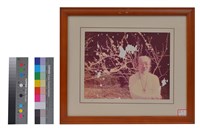 藏品(相片)的圖片