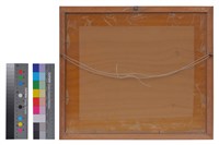 藏品(相片)的圖片