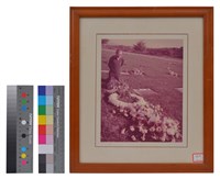 藏品(相片)的圖片