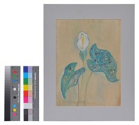 藏品(西畫)的圖片