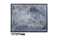 藏品(易⽔寒)的圖片