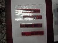 藏品(135黑白負片B-10-19)的圖片