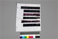 藏品(135黑白負片最後一排移至轉移袋第2行A-2-36)的圖片