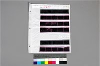 藏品(135黑白負片第5排移至轉移袋第1行A-6-35)的圖片