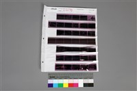 藏品(135黑白負片A-11-37)的圖片