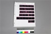 藏品(135黑白負片A-12-28)的圖片