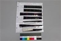 藏品(135黑白負片A-13-37)的圖片