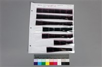 藏品(135黑白負片A-15-35)的圖片