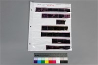 藏品(135黑白負片破損不計A-16-28)的圖片