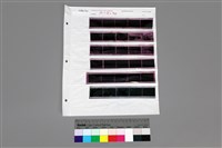 藏品(135黑白負片A-18-30)的圖片