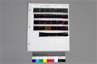 藏品(135黑白負片第6排移至轉移袋第4行A-19-33)的圖片