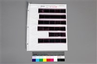 藏品(印樣A-23-38)的圖片