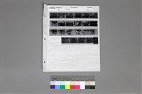 藏品(135黑白負片A-29-22)的圖片