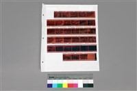 藏品(135彩色負片A-30-32)的圖片