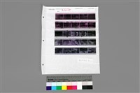 藏品(135黑白負片第6排移至轉移袋第3行A-31-25)的圖片