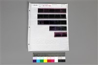 藏品(135黑白負片A-32-20)的圖片