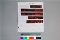 藏品(135彩色負片A-36-24)的圖片