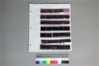 藏品(135黑白負片第1排1張空白不算A-38-35)的圖片