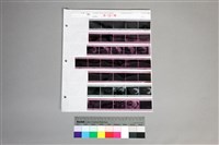 藏品(印樣A-39-36)的圖片