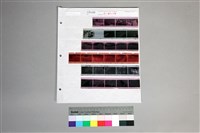 藏品(印樣A-41-34)的圖片