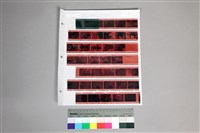 藏品(135彩色負片第3、4排各1張空白不算A-45-35)的圖片