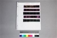 藏品(印樣A-46-25)的圖片