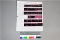 藏品(印樣B-5-27)的圖片