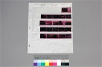 藏品(印樣B-6-21)的圖片