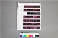 藏品(印樣B-11-36)的圖片