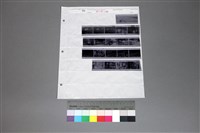 藏品(印樣B-13-20)的圖片