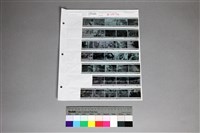 藏品(印樣B-18-34)的圖片