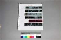 藏品(印樣B-19-29)的圖片