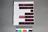 藏品(印樣B-21-25)的圖片