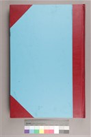 藏品(中華日報 2012 下 (7月2日-12月31日))的圖片