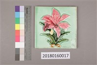 館藏編號:20180160017的藏品圖