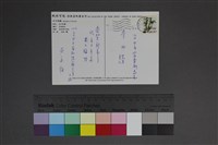 藏品(巫永福賀年卡片)的圖片