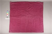 藏品(蛇腹相機遮光布)的圖片