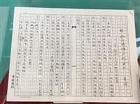 藏品(<關於《楊梅三部曲》>手稿)的圖片