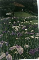 藏品(余阿勳寄(內文))的圖片