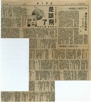 藏品(飛出不正常的家－析「是該飛了」)的圖片