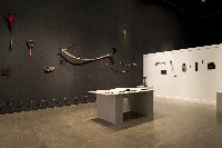 藏品(《時間與潮汐》)的圖片