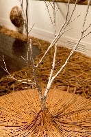 藏品(《算浪5又1/3》)的圖片