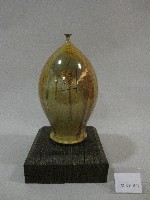藏品(諾瓦克·喬科維奇網球球王簽名小口瓶)的圖片