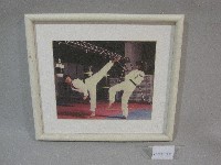 藏品(國立體育學院校園-湯惠婷老師跆拳練習-相片(裝框))的圖片