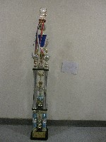 藏品(民國91年全國大專院校運動會-大專甲組總錦標-第一名獎盃)的圖片