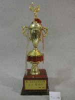 藏品(第七屆飛利浦杯網球賽最佳服裝獎-PHILIPS獎盃)的圖片