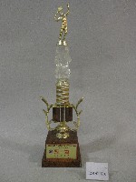 藏品(民國88年大專院校第30屆運動會網球大專-女生甲組-冠軍獎盃)的圖片