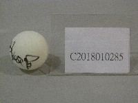 藏品(莊智淵簽名乒乓球)的圖片