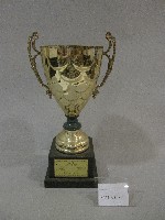 藏品(民國86年大專院校二十八屆運動會網球-大男甲組-冠軍獎盃)的圖片