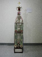 藏品(2000年全國大專校院運動會大會總錦標-總統獎獎盃)的圖片